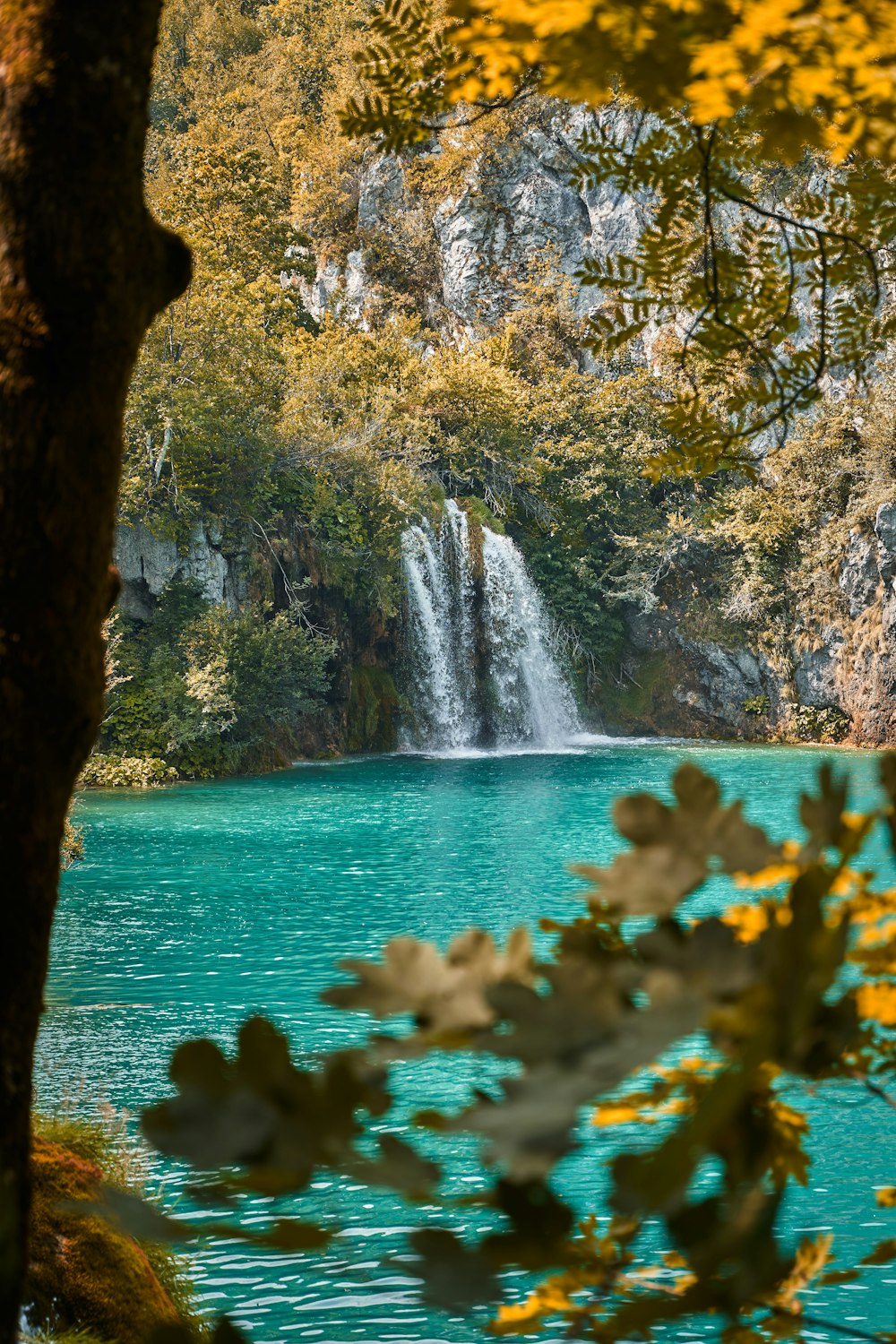 alberi a foglia verde vicino alle cascate