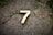 number 7