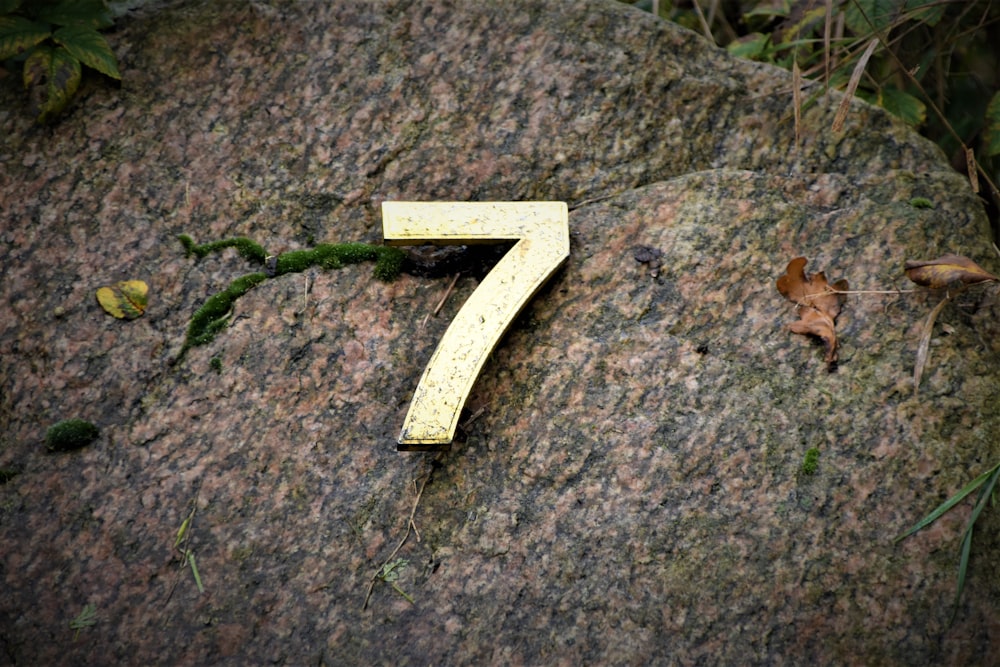 PHOTOS: What's in a number? No. 7