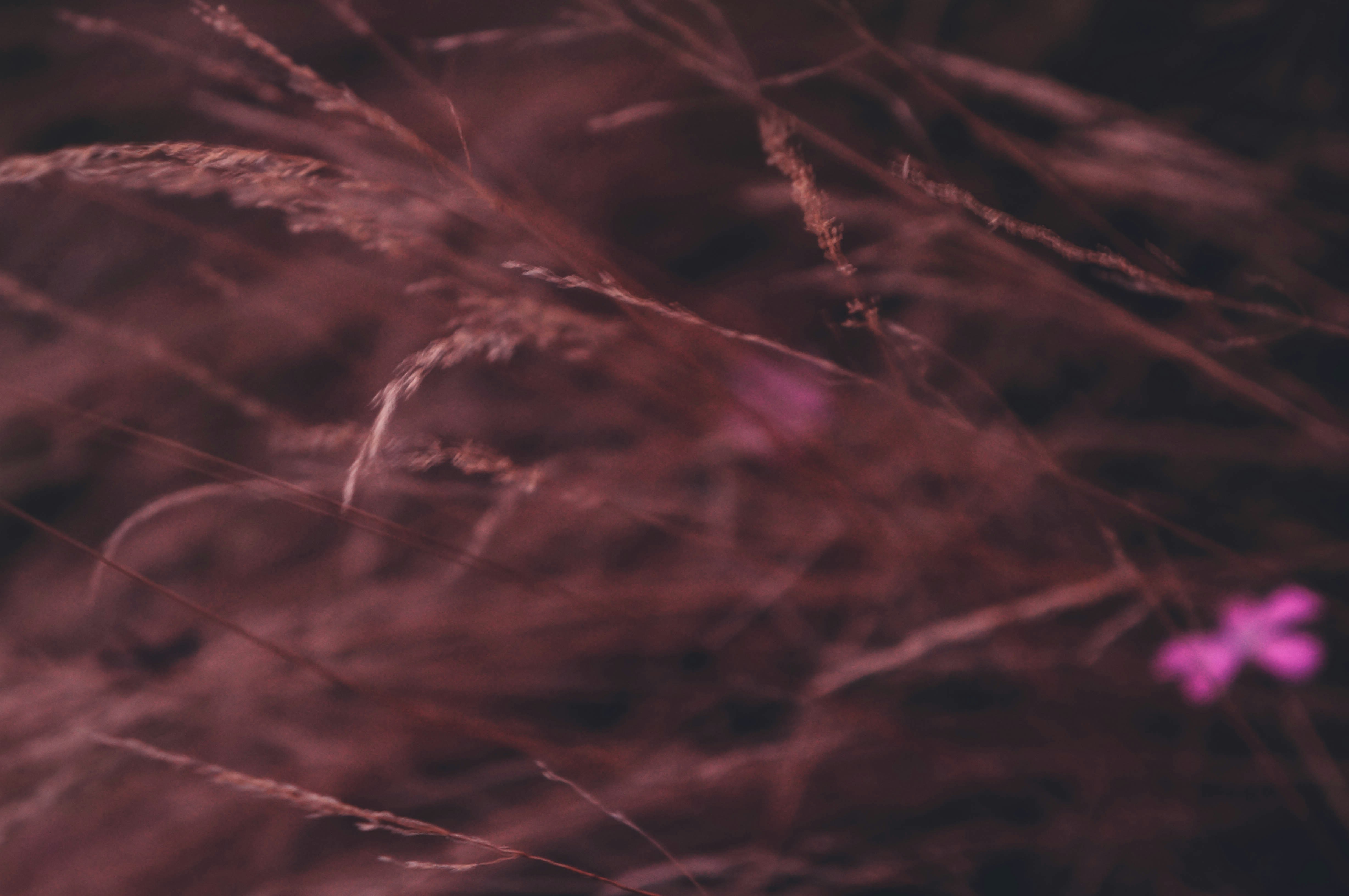 Photo by evgeeeenchik