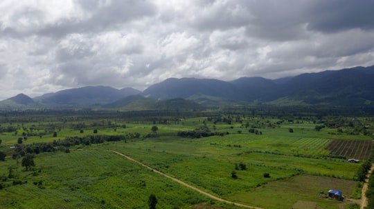 aerial photo of field in Battambang Cambodia