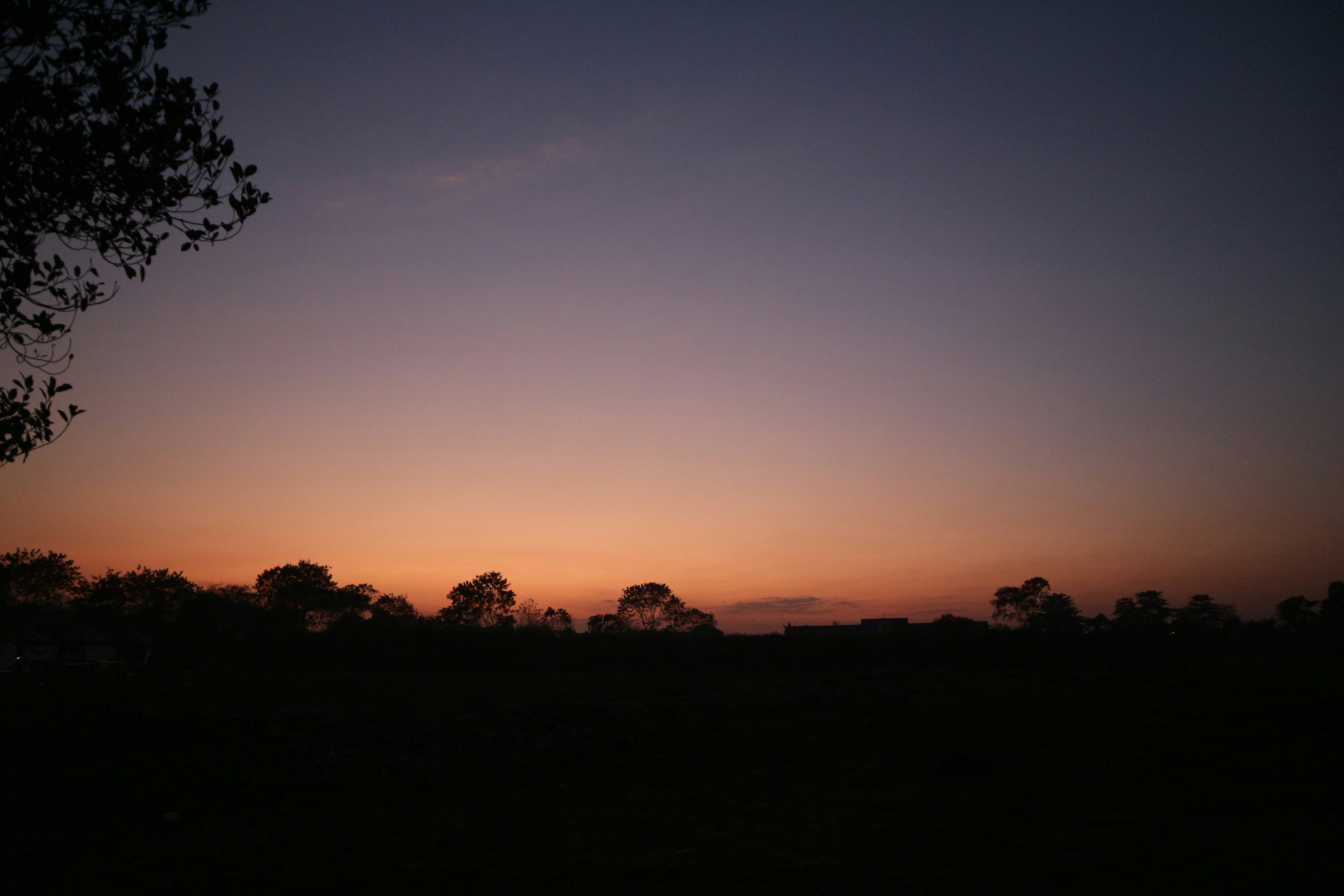 Photo by ekicaesarmarhaban