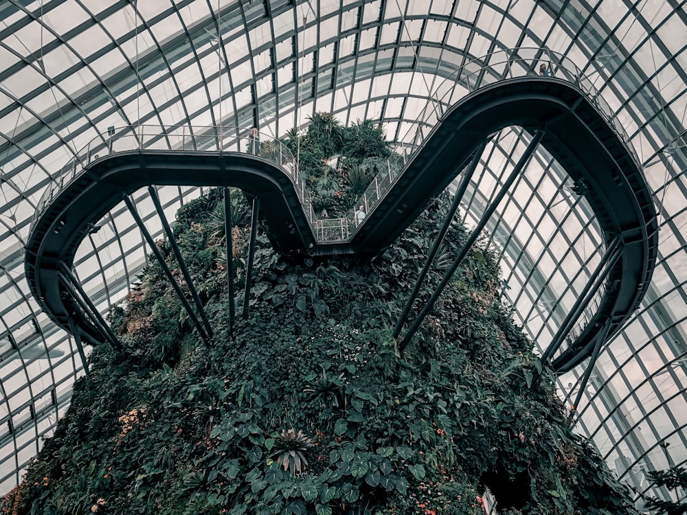 plantas de hojas verdes