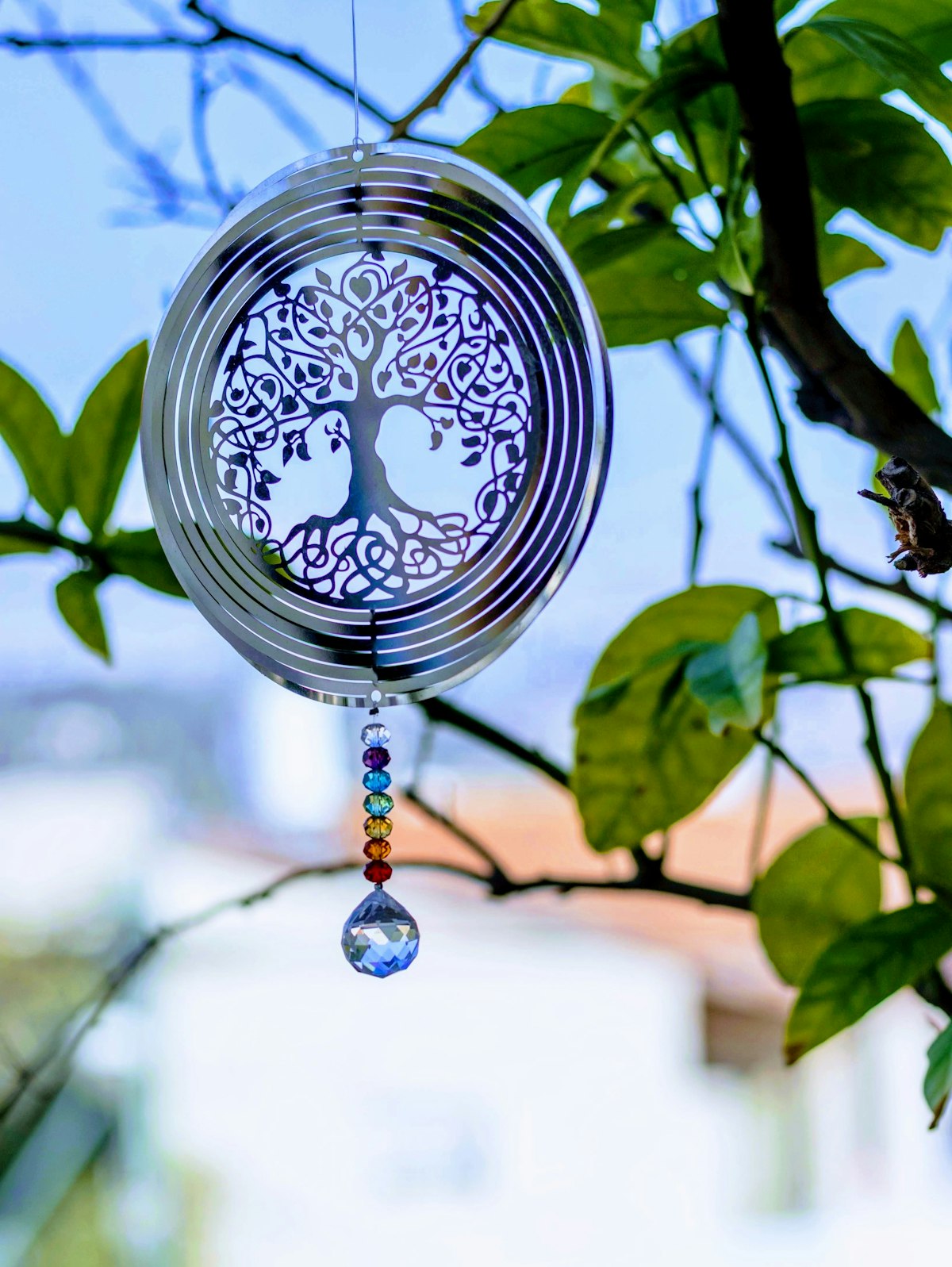 Heart Chakra