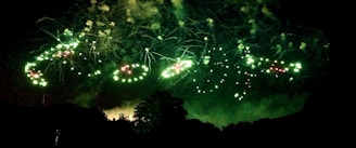 Bright green fireworks explode against the dark night sky, forming circular and spiral patterns above silhouetted trees.