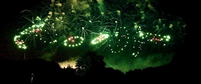 Bright green fireworks explode against the dark night sky, forming circular and spiral patterns above silhouetted trees.