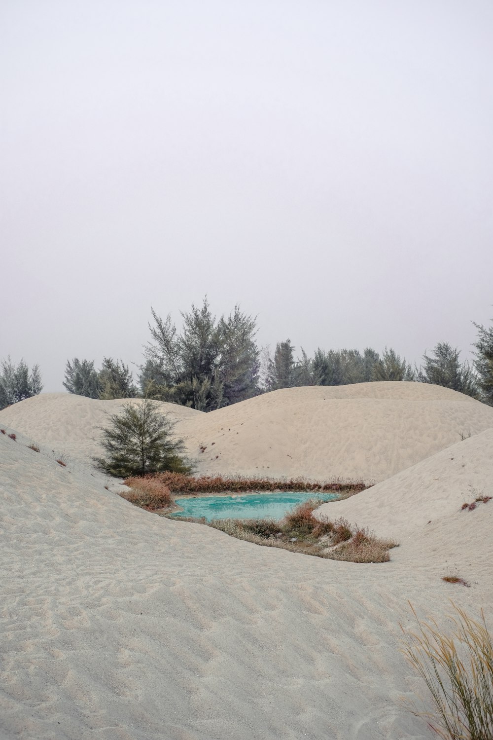 snow covered filed by body of water under gray skies