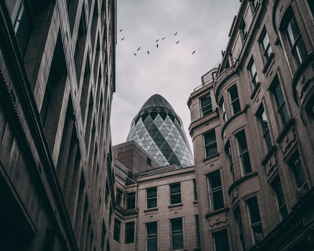 buildings by 30 St Mary Axe under gray skies