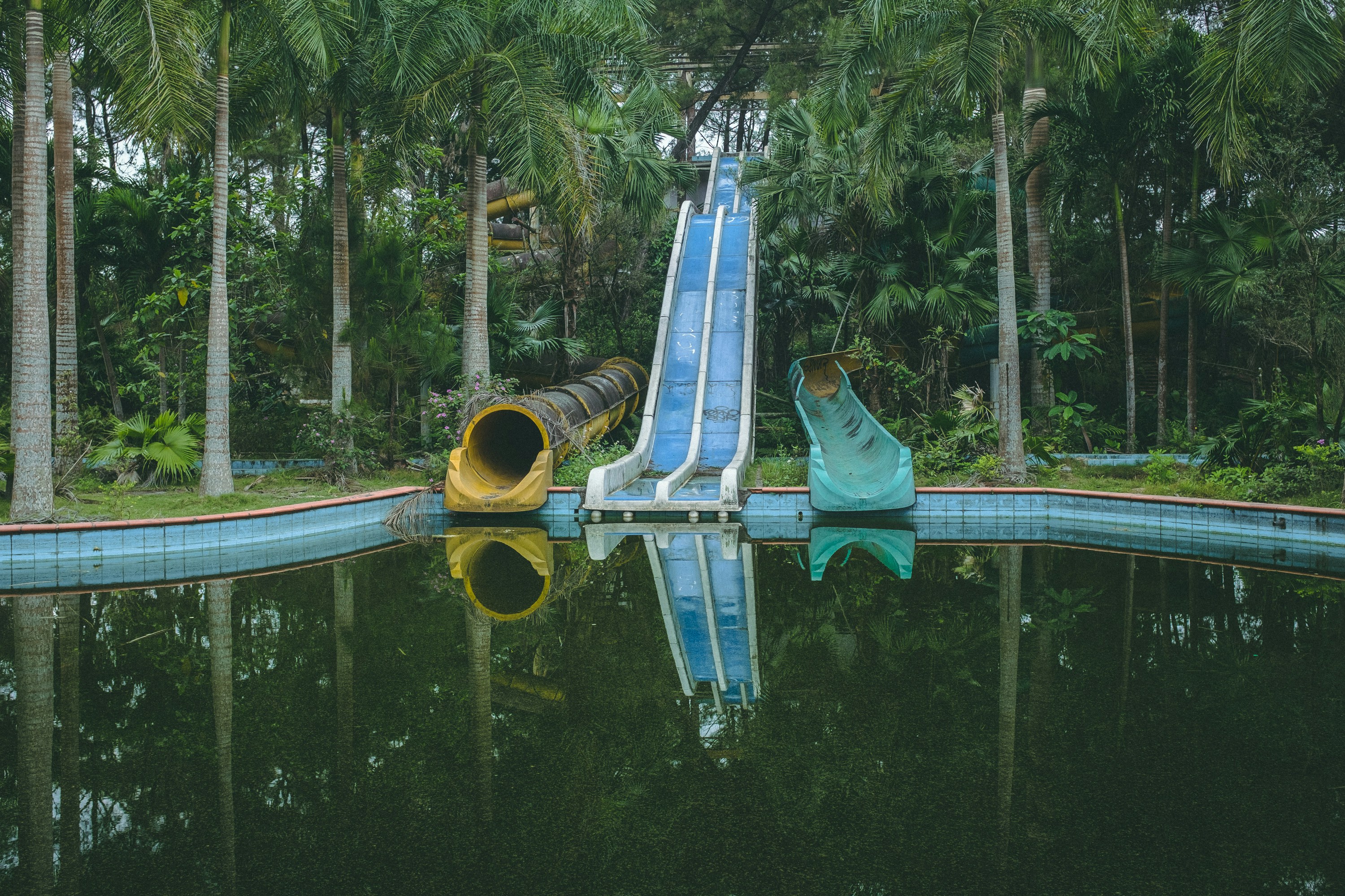 swimming pool near green trees during daytime