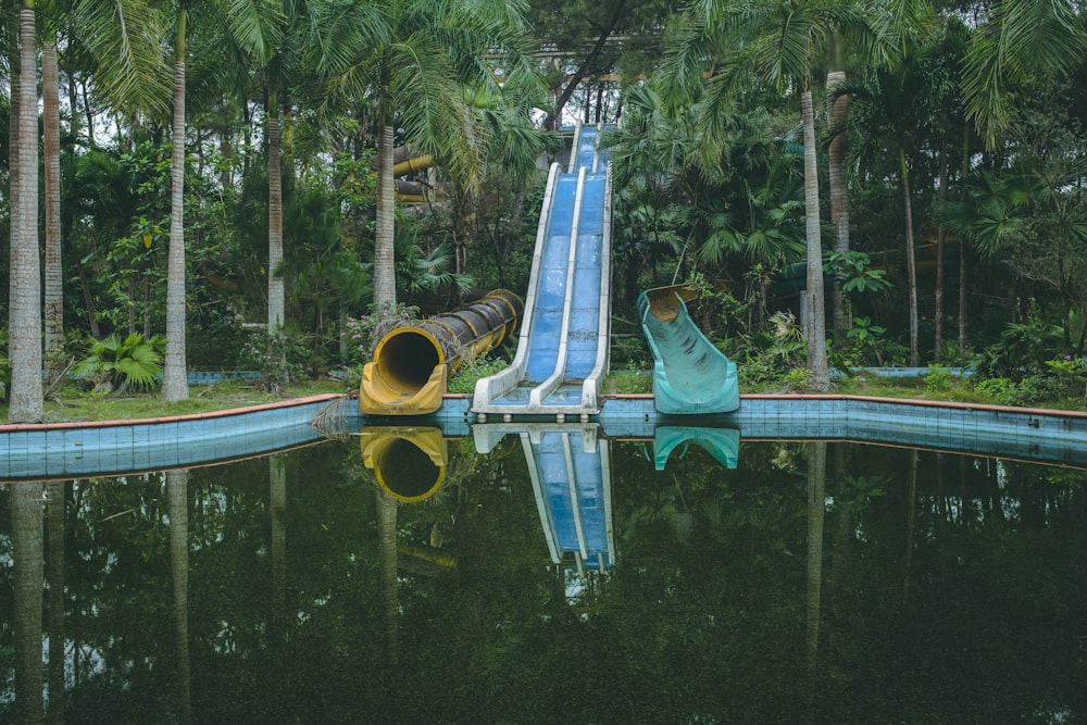 swimming pool near green trees during daytime