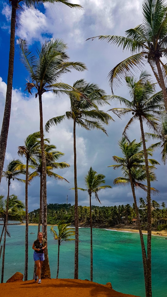 woman standing beside green palm trees near body of water in Mirissa Sri Lanka