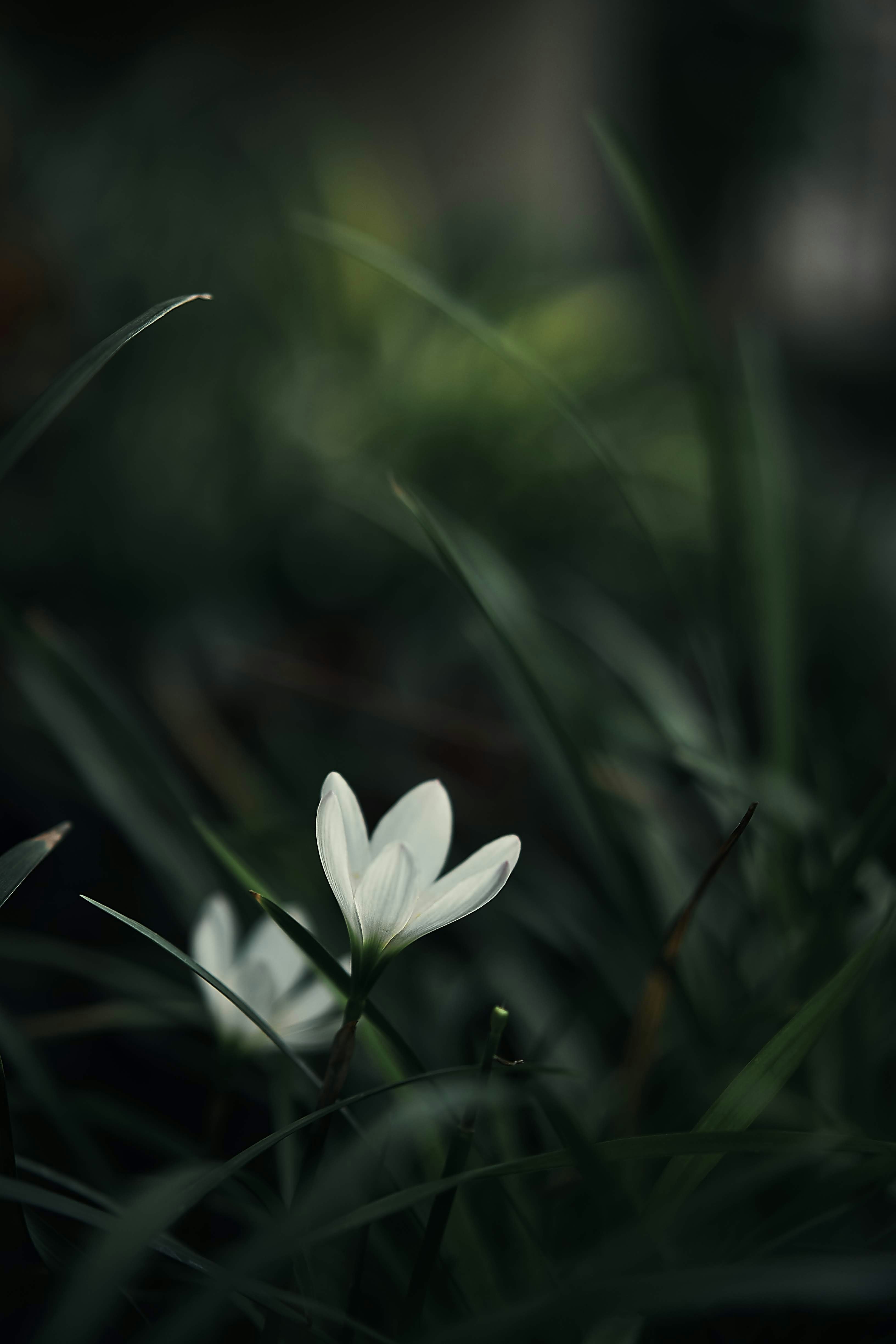 Photo by mister_whistler