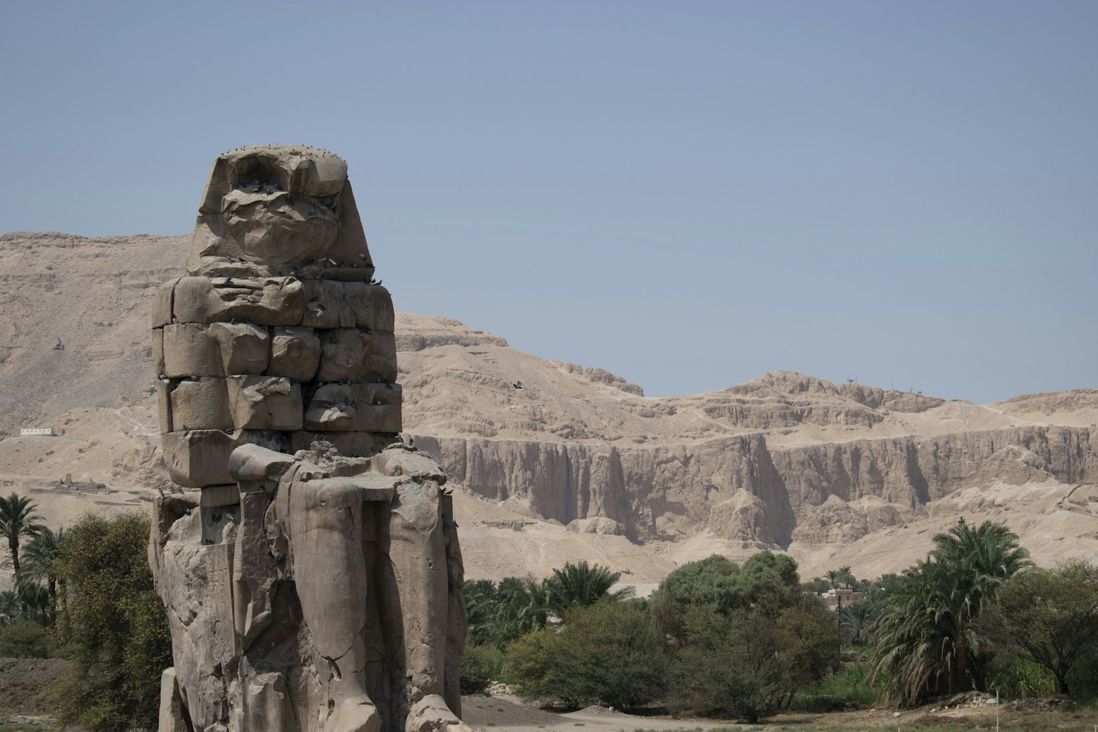 I Colossi di Memnone nella piana di Luxor al tramonto