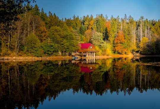 house by lake surrounded with tree during daytime in Lacul Buhui Romania