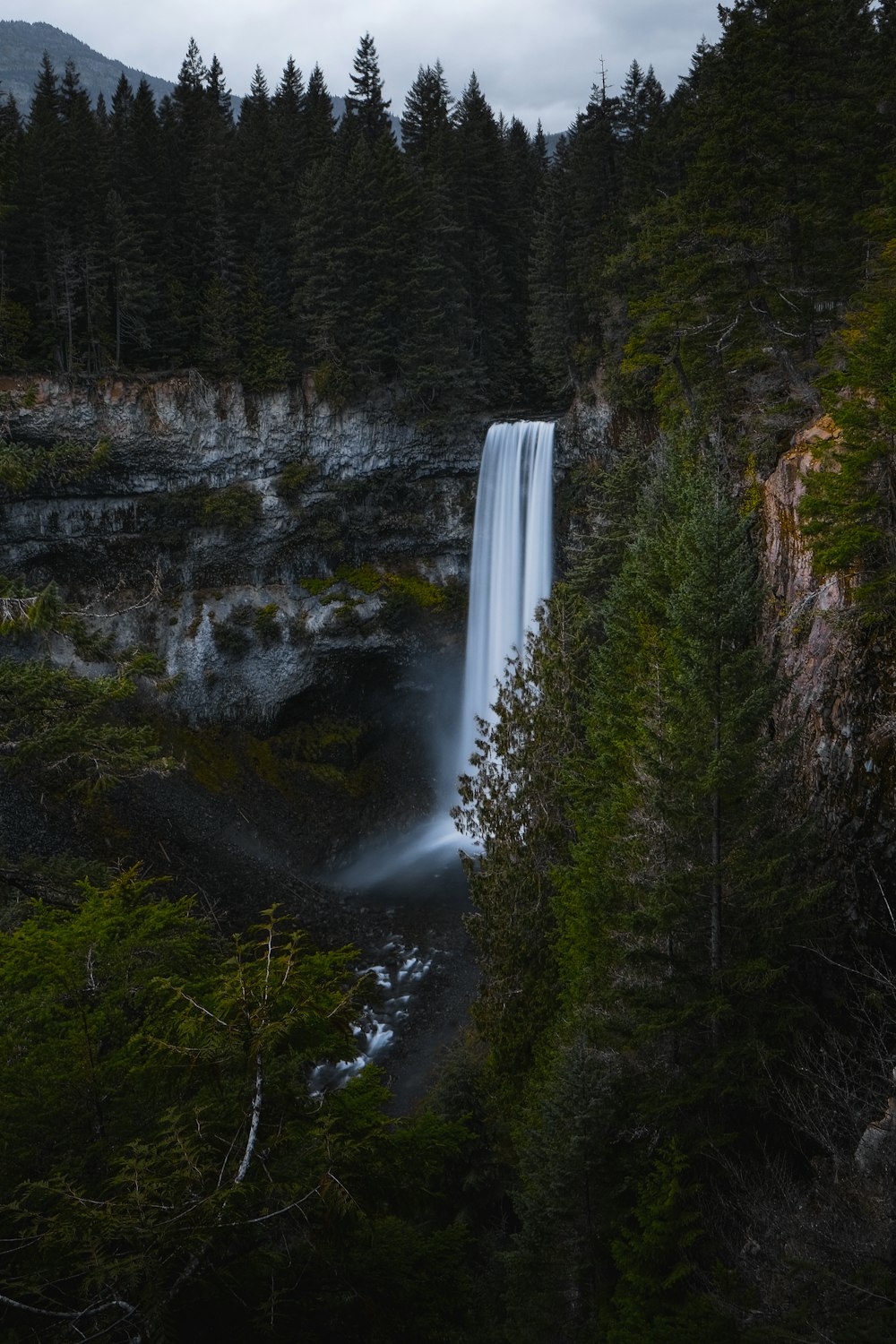 Fotografía time-lapse de cascadas junto a árboles bajo cielos grises