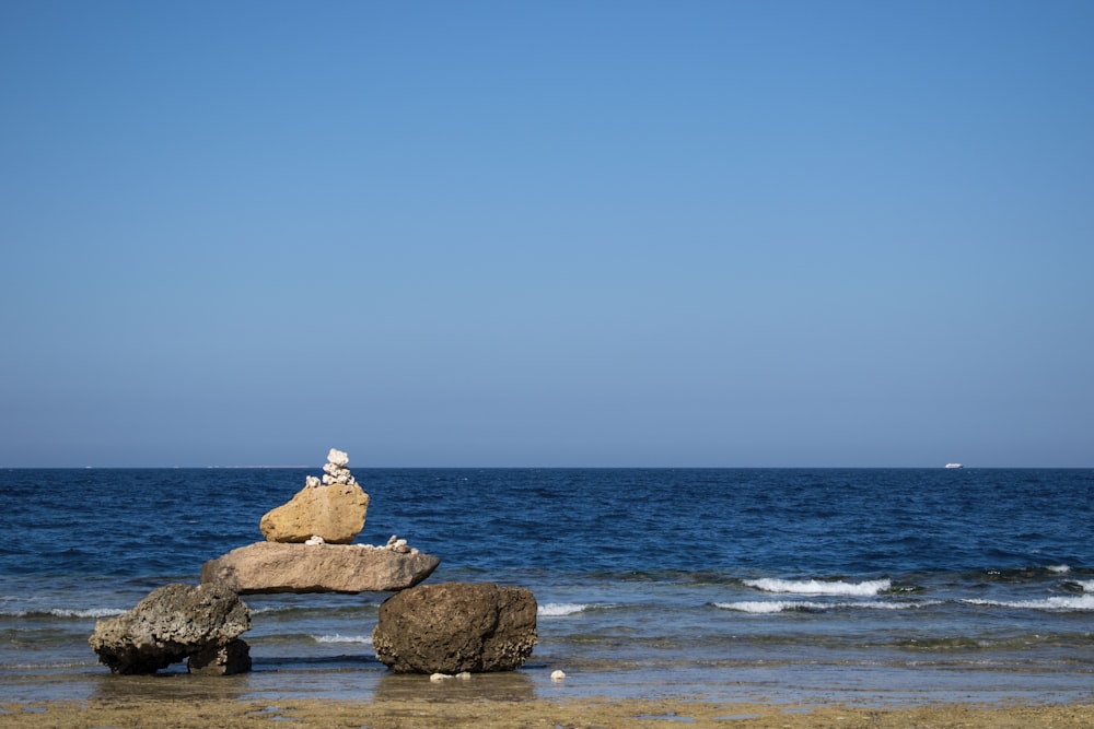 brown rocks near ocean