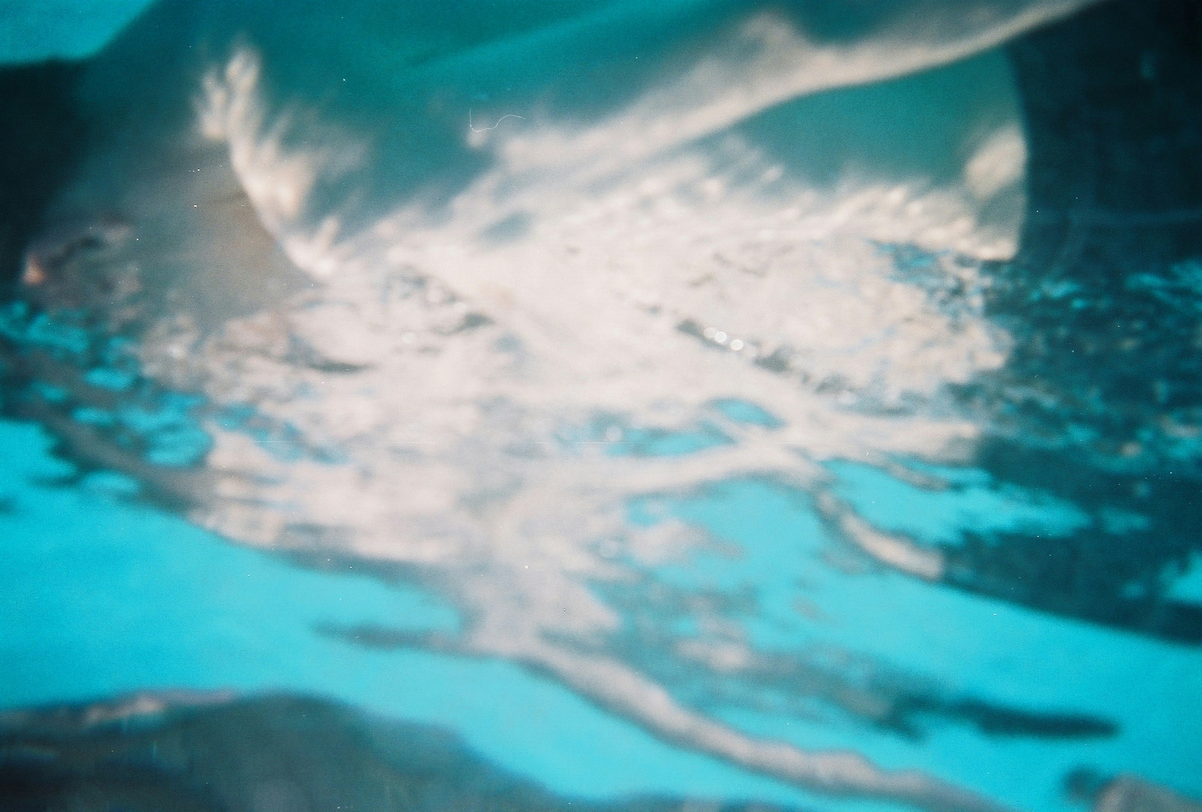 Photo by bitter_fruitt