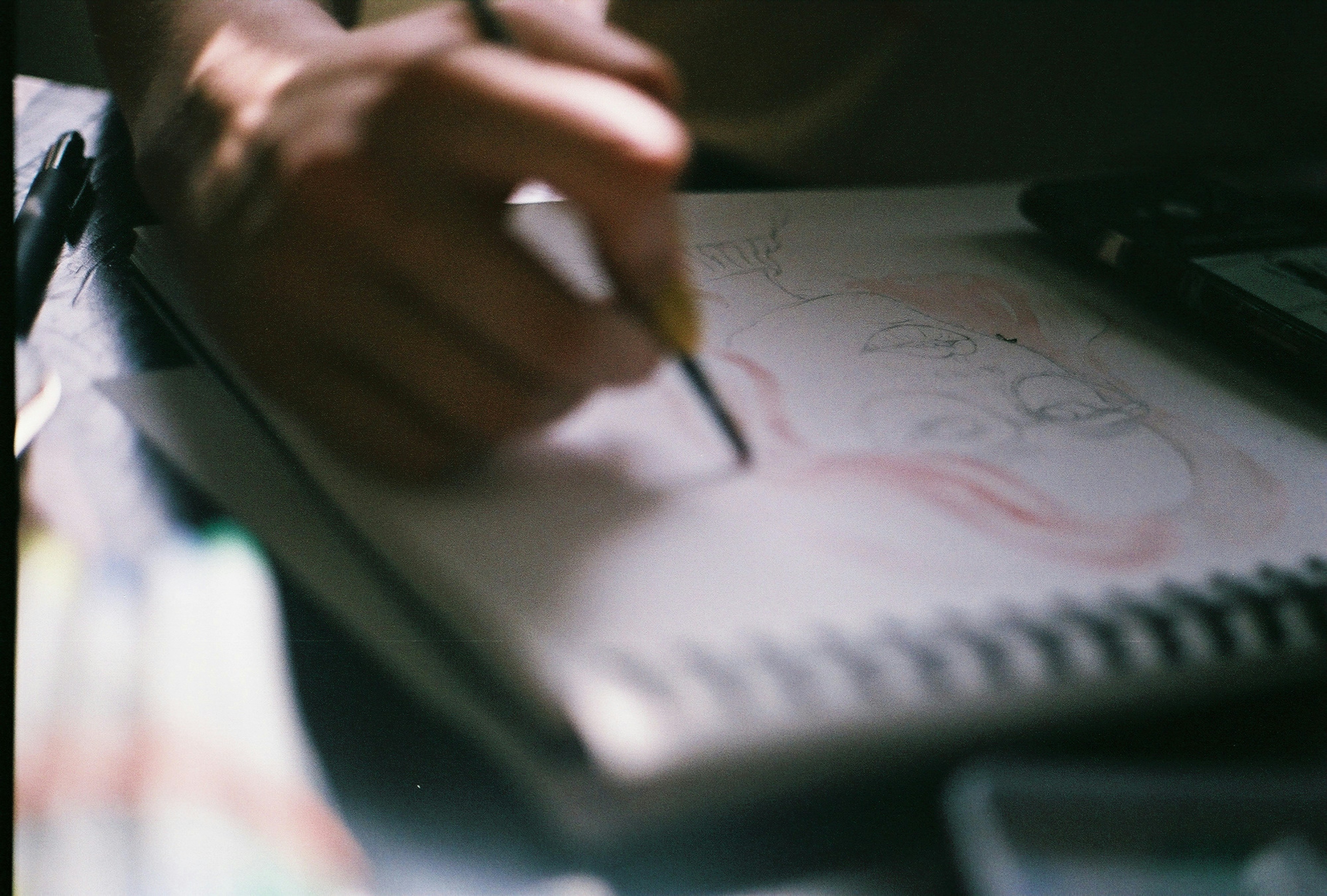 Photo by bitter_fruitt