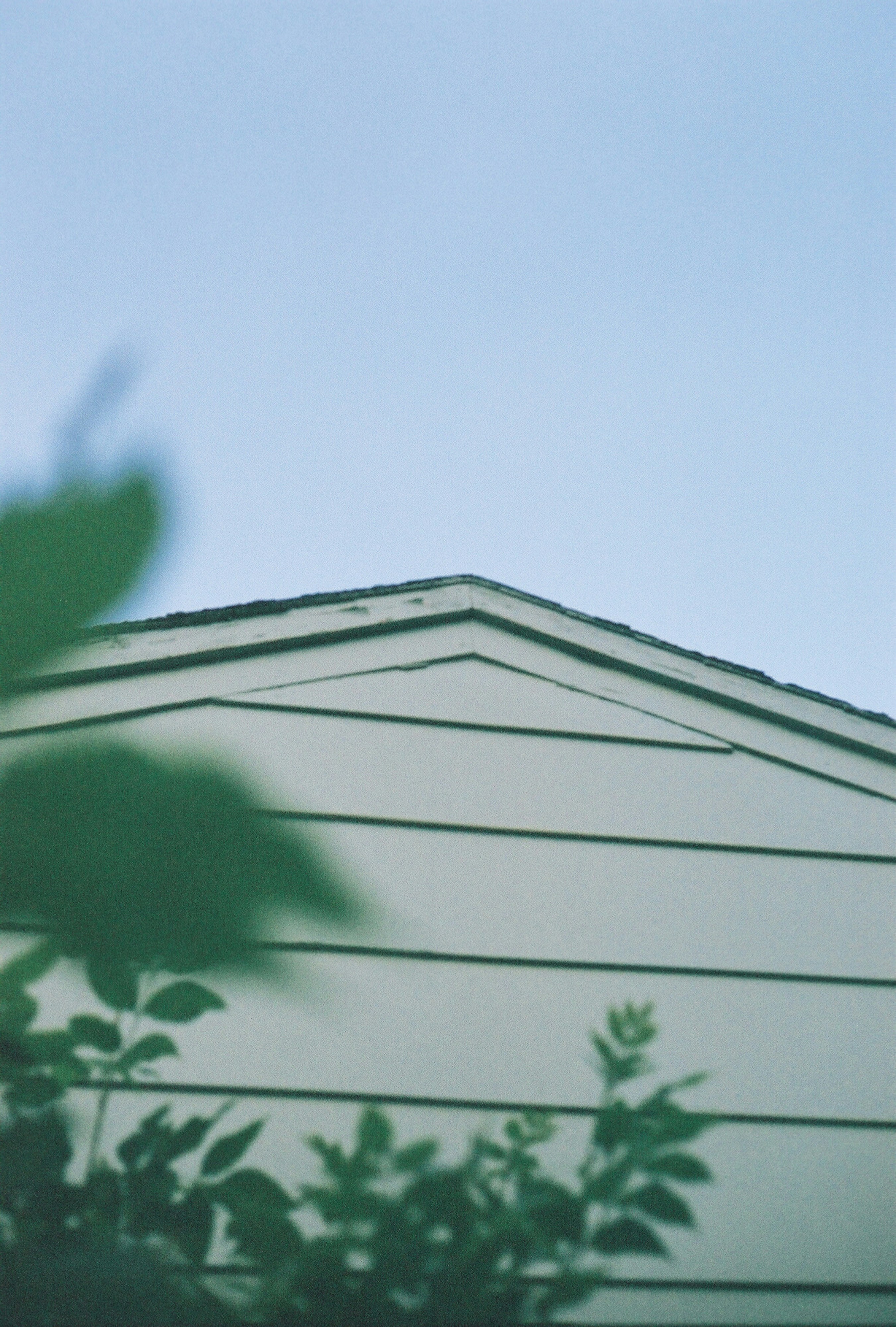 Photo by bitter_fruitt