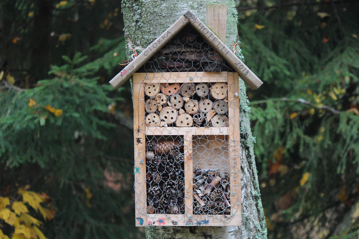 Wooden insect hotel with nesting tubes