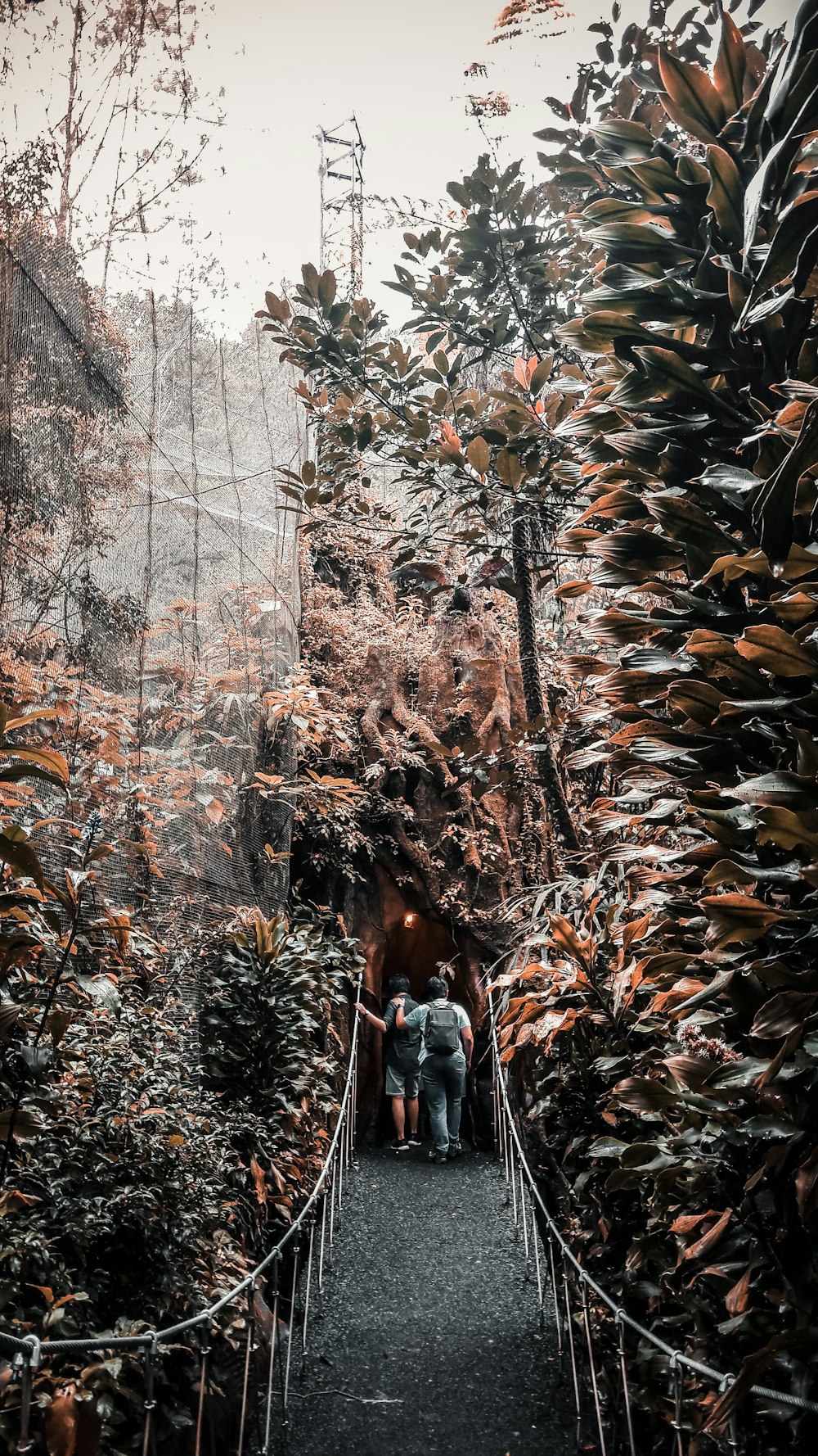 two person walking on bridge between trees during daytime