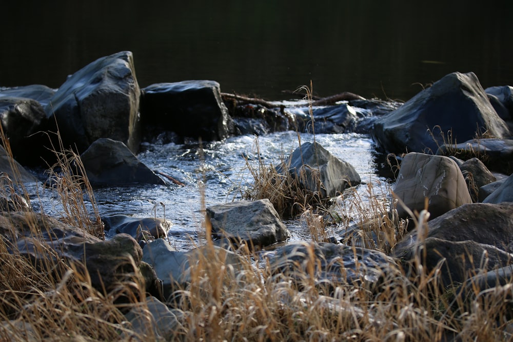 cuerpos de agua y rocas durante el día
