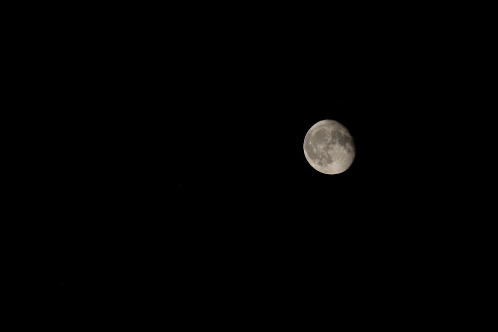 moon during nighttime