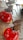 Two glossy, red dome-shaped desserts rest on a cooling rack. Each is topped with intricate chocolate sculptures resembling abstract art. Small sugar crystals are sprinkled at the base of the chocolate pieces, adding a touch of elegance.