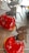 Two glossy, red dome-shaped desserts rest on a cooling rack. Each is topped with intricate chocolate sculptures resembling abstract art. Small sugar crystals are sprinkled at the base of the chocolate pieces, adding a touch of elegance.