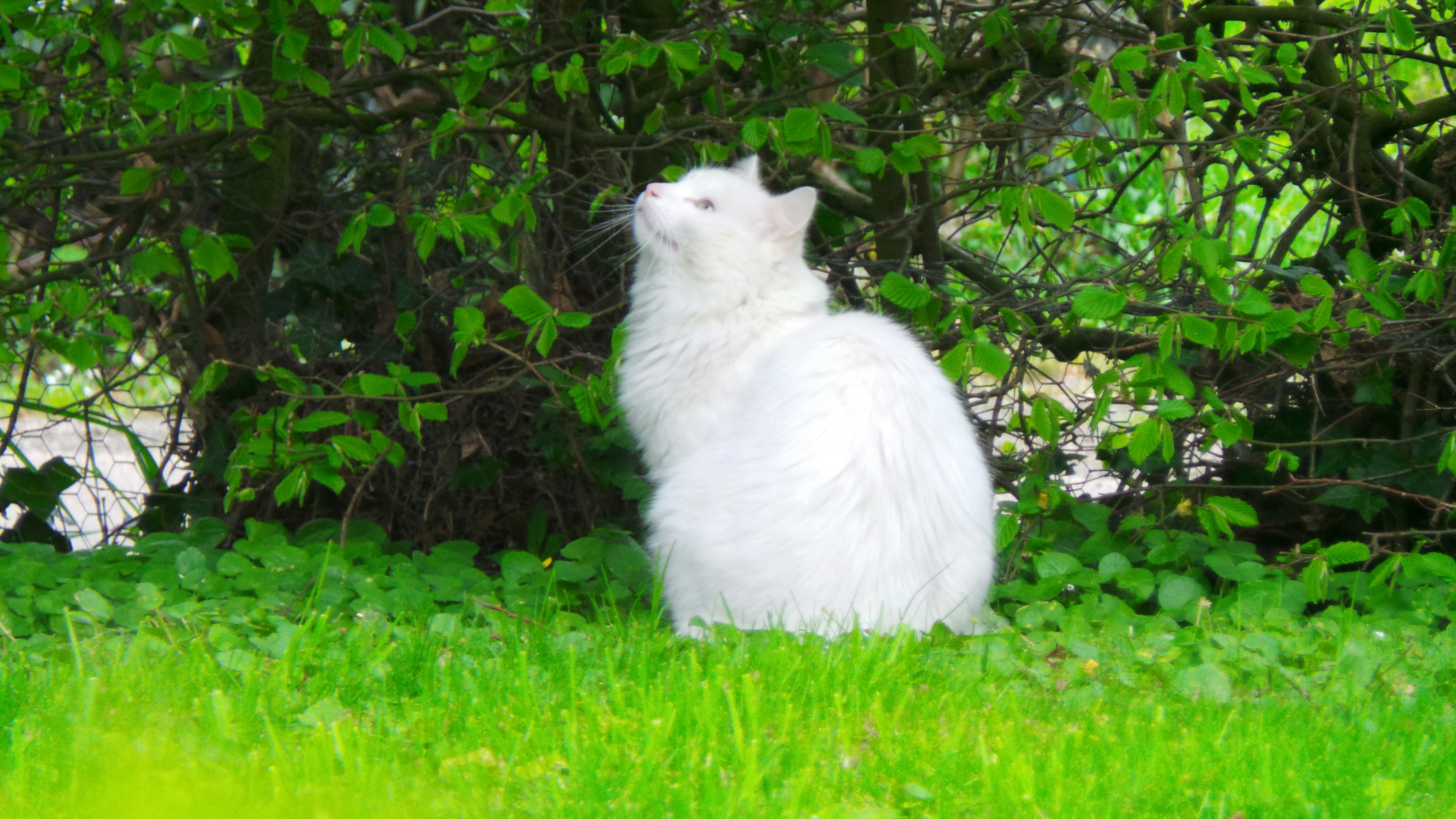 Photo by nathalieandre