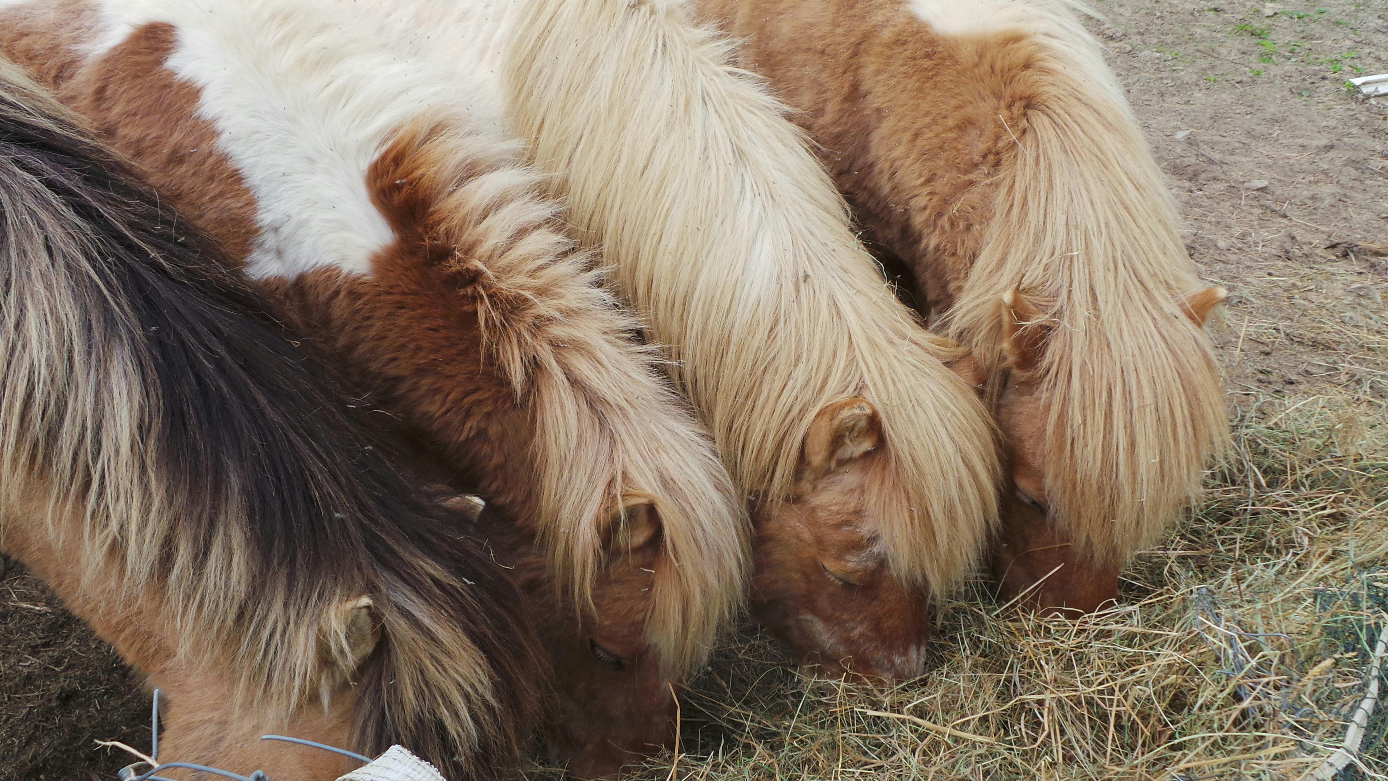 Photo by nathalieandre