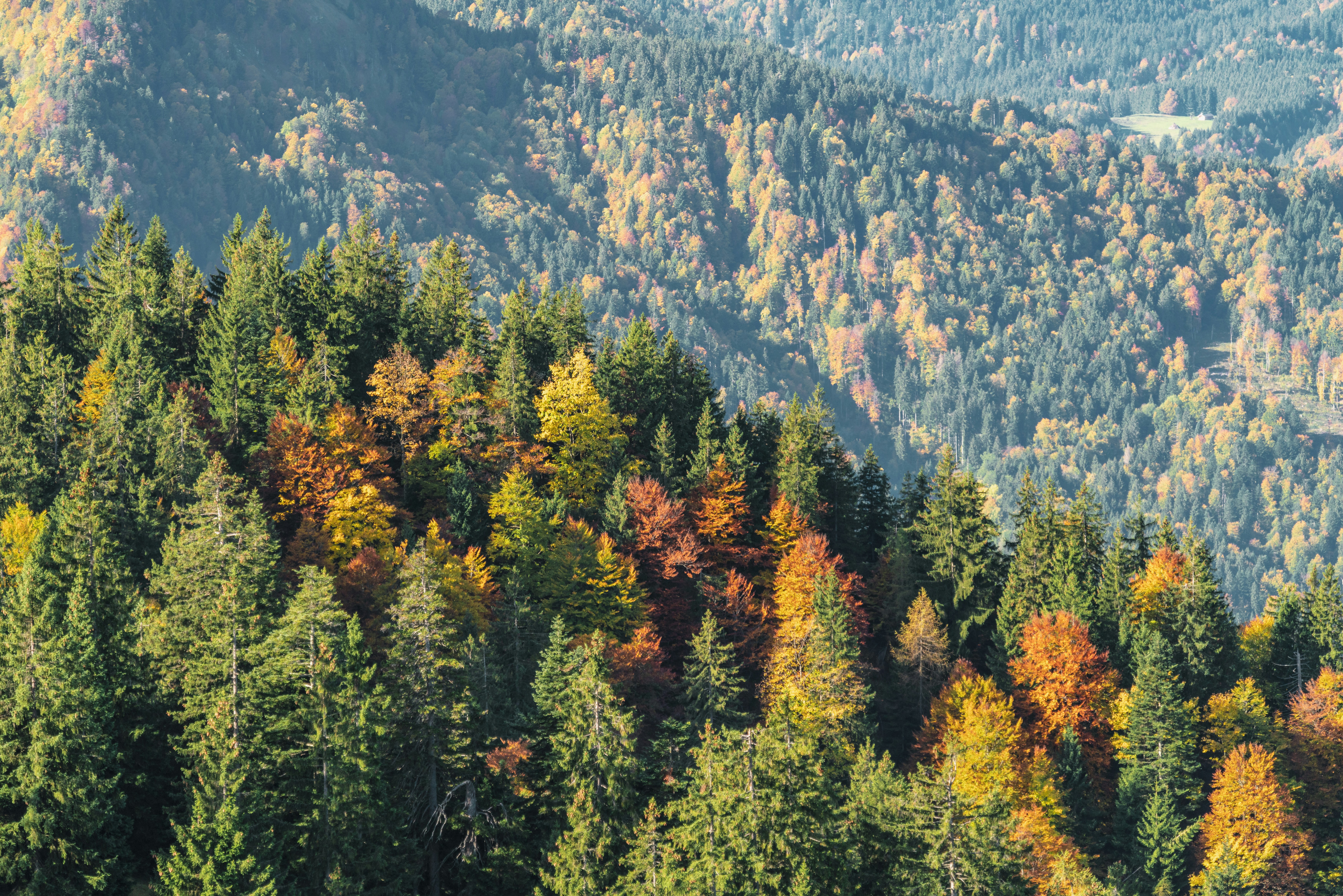 Photo by danielsessler