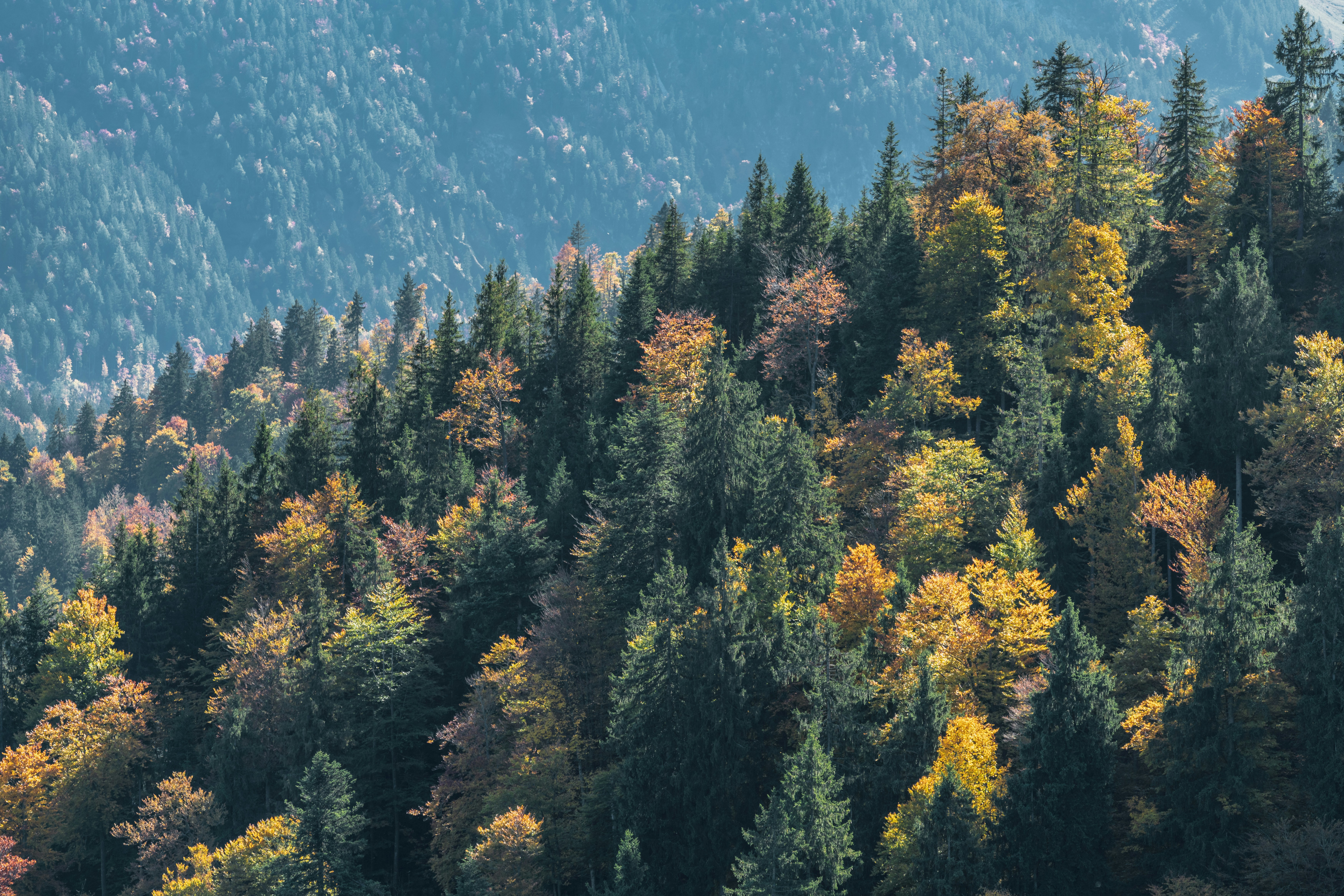 Photo by danielsessler