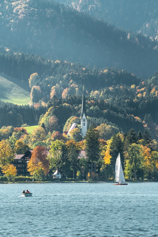 white sailboat on water near trees at daytime in Tegernsee Germany