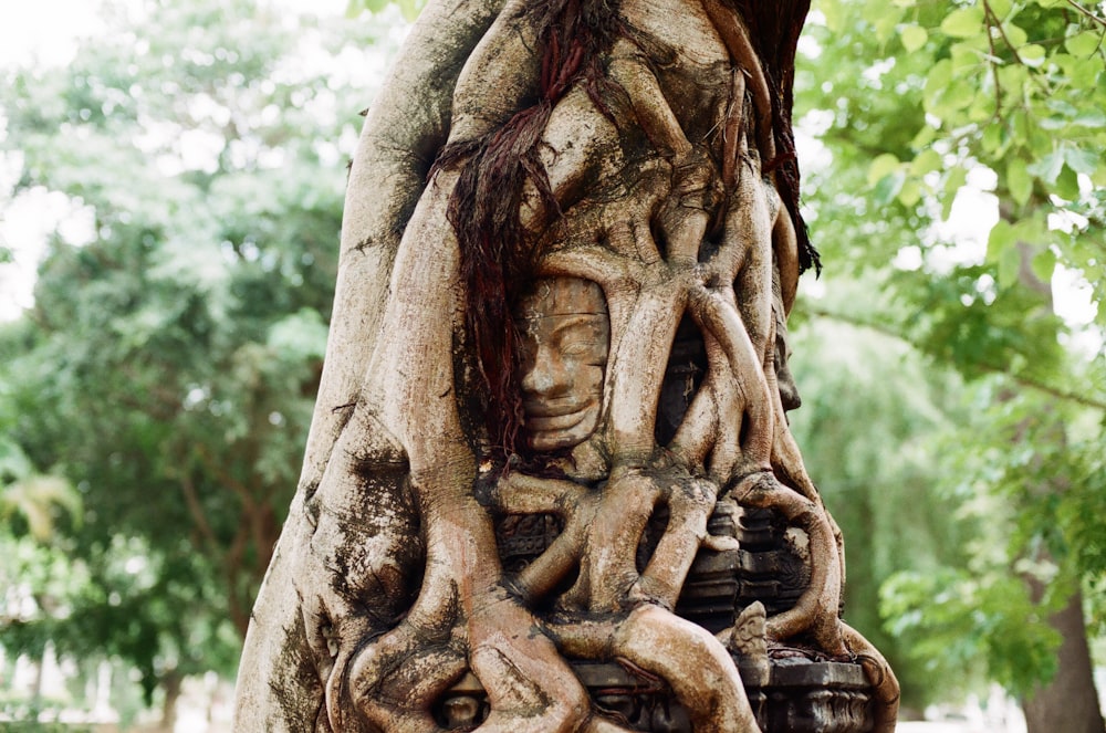 statue in tree
