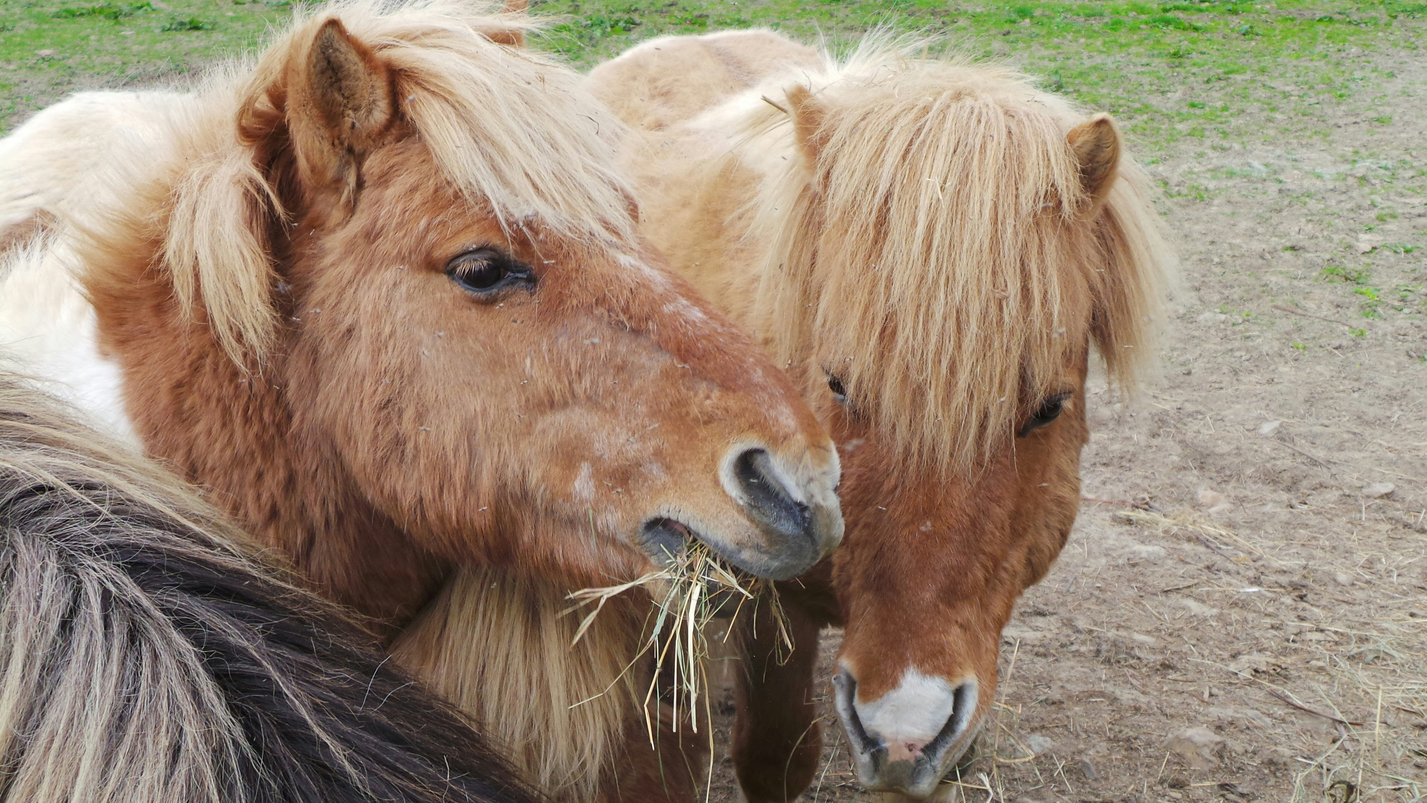 Photo by nathalieandre