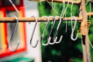 Colorful pet leashes hanging on a rustic hook
