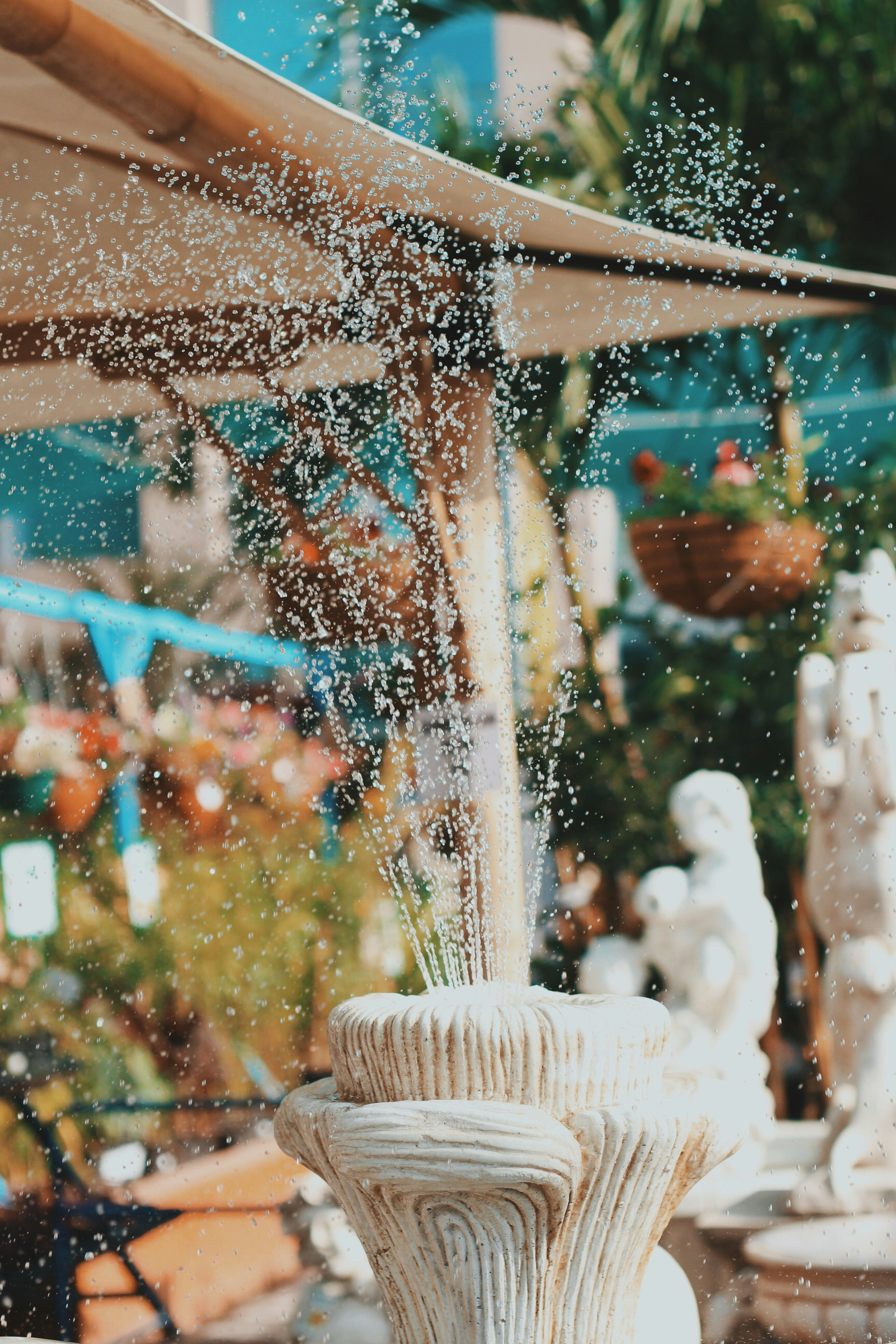 Photo by massivedork