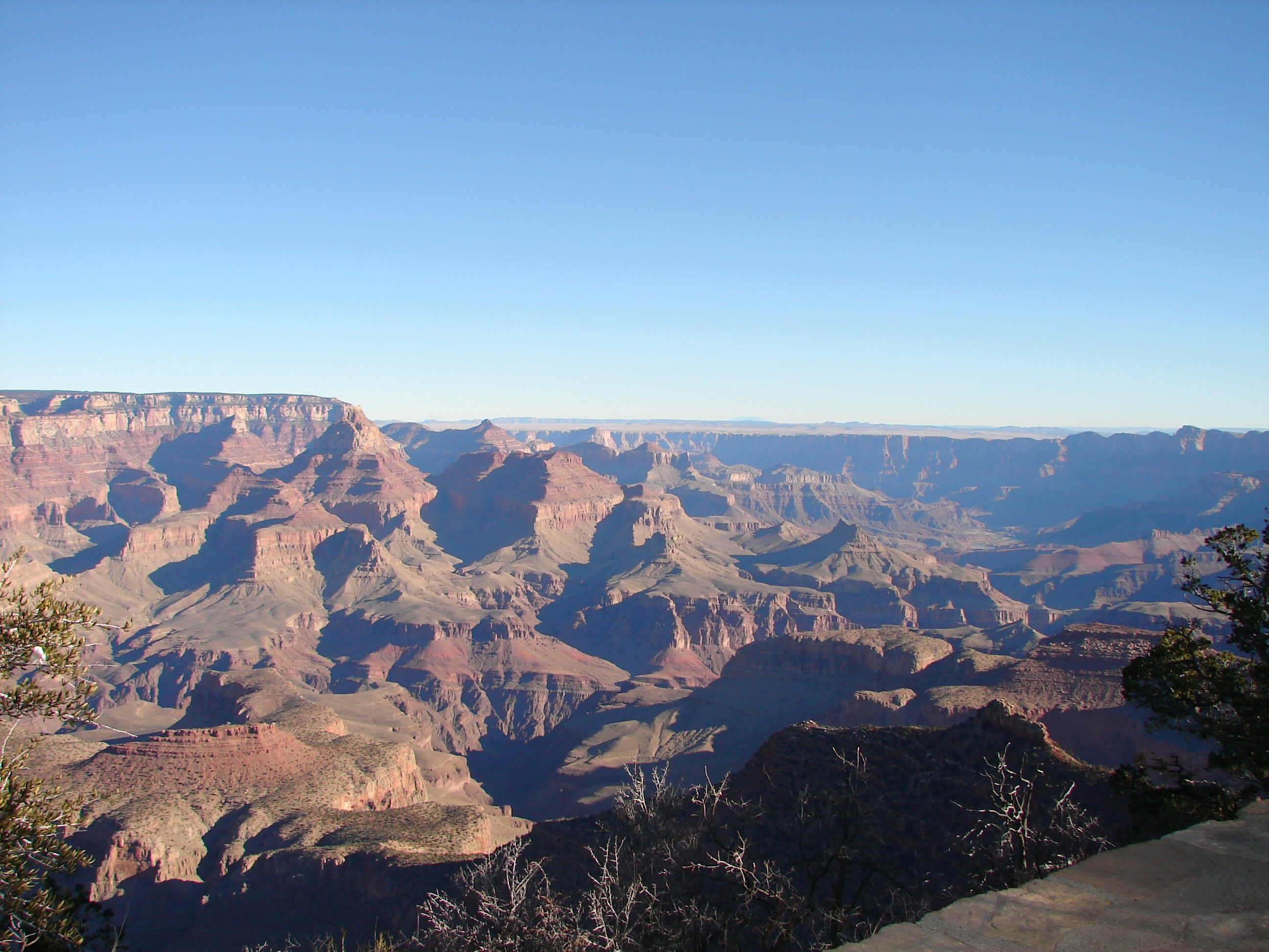 Photo by atlanta1040