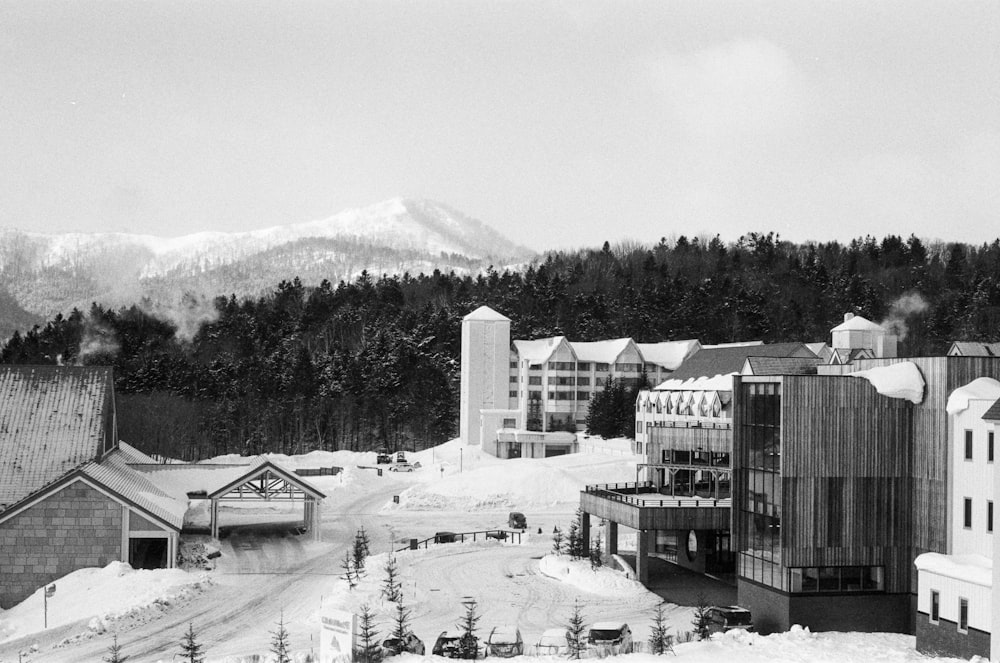 grayscale photo of buildings near trees