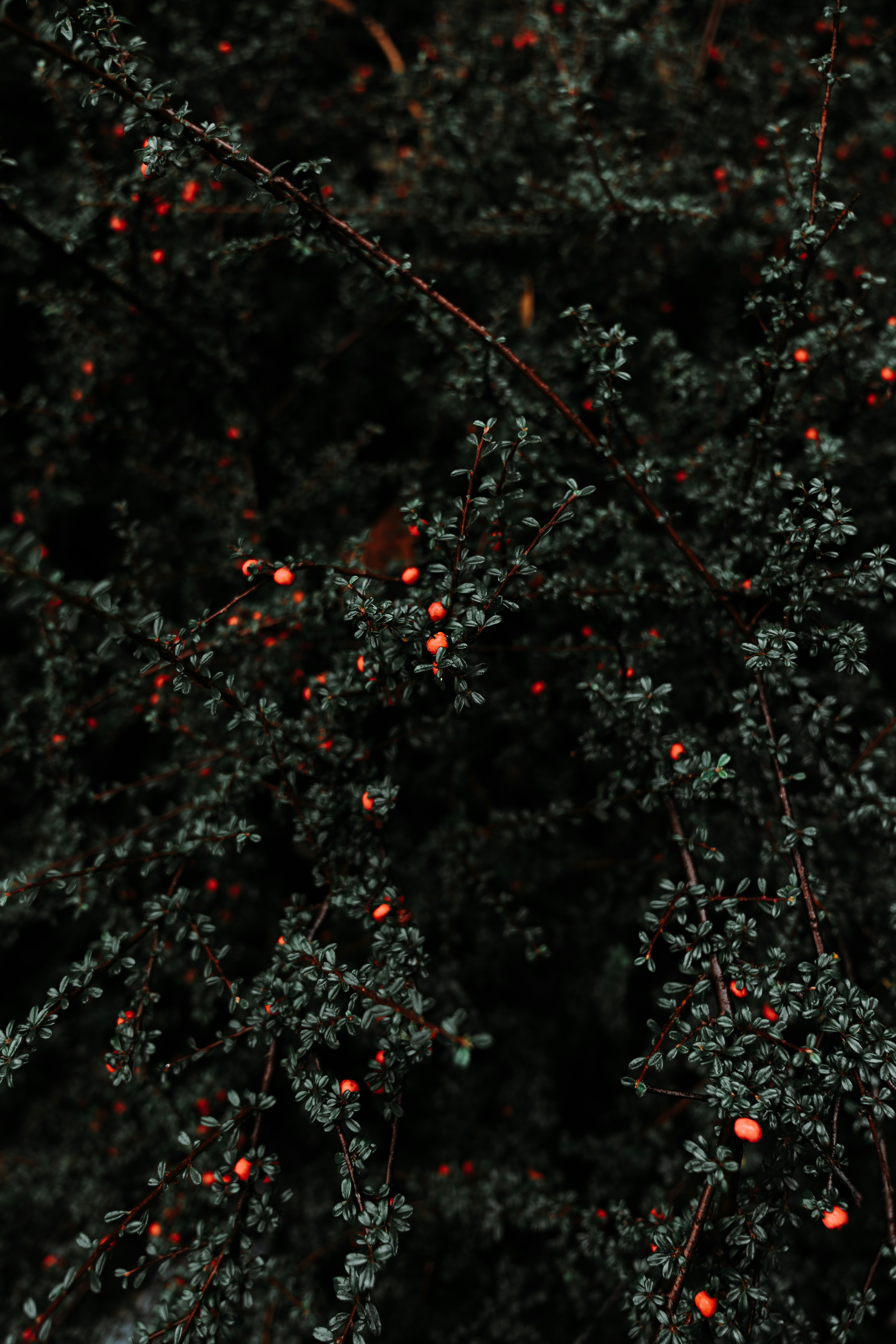 Photo by pixworthmedia