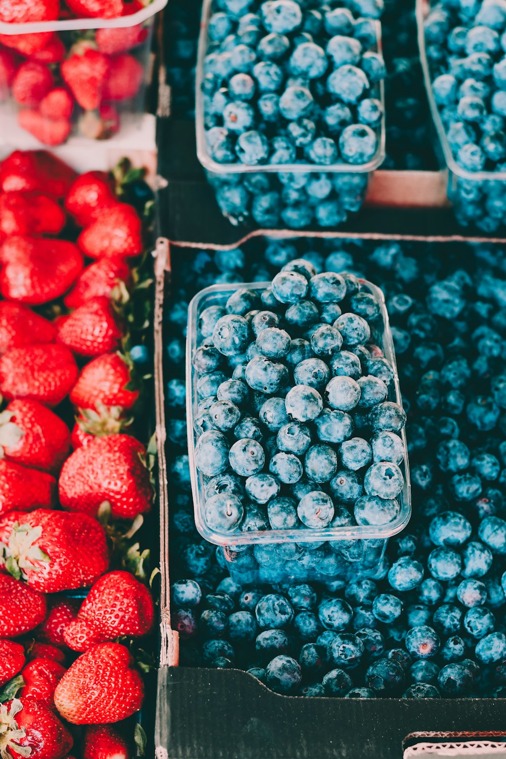 Foto mit flachem Fokus von Blaubeeren