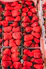A vibrant image showing freshly harvested strawberries being carefully loaded for export.