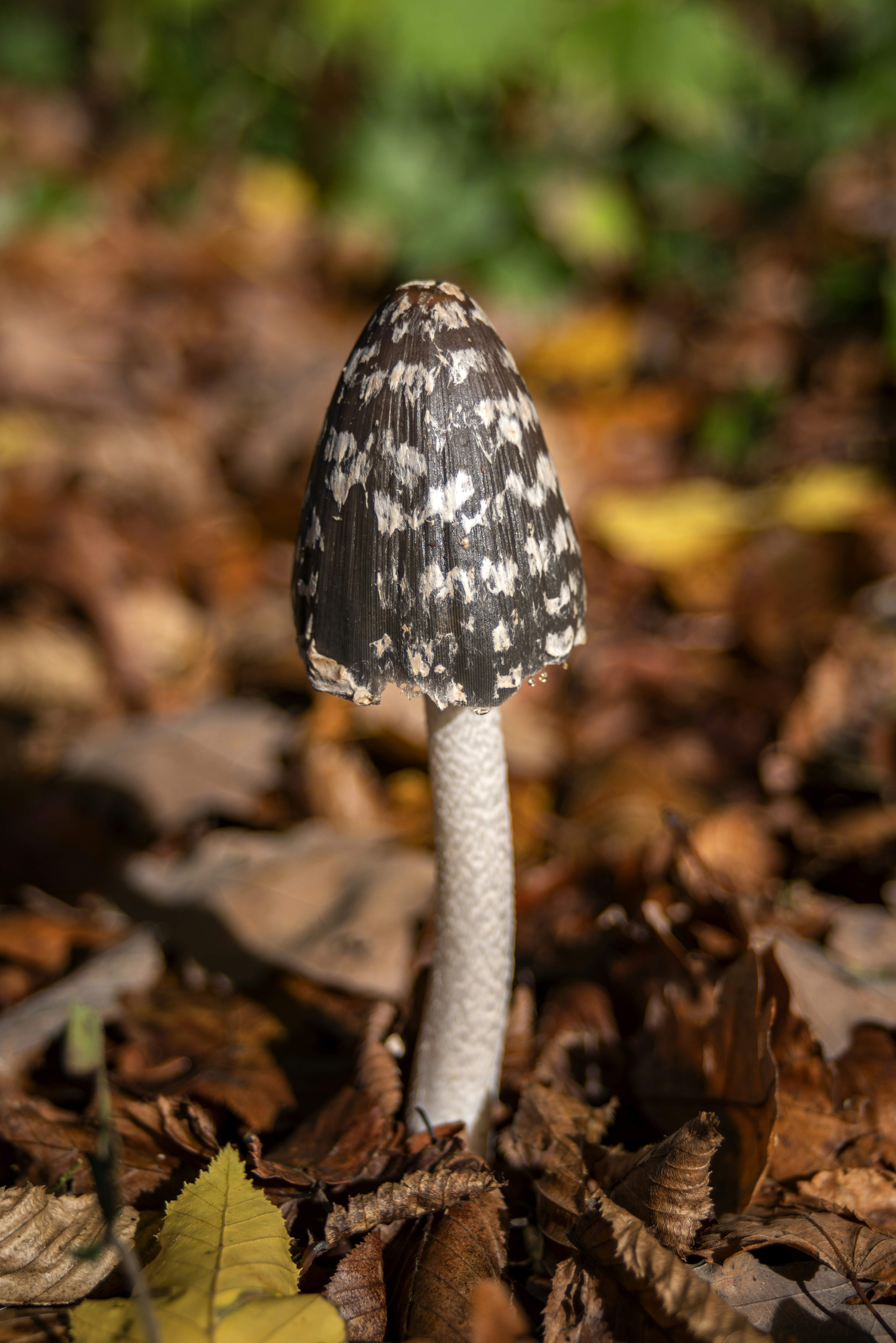 Photo by switch_dtp_fotografie