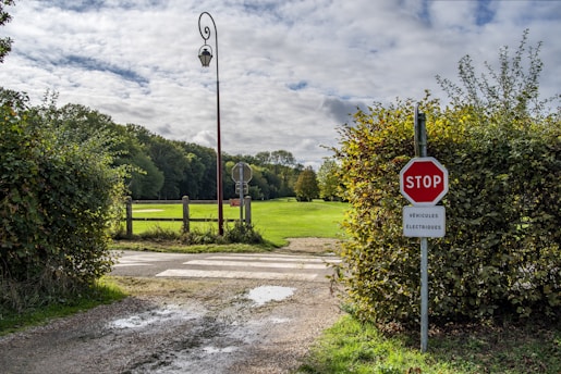 red stop signage beside green plant