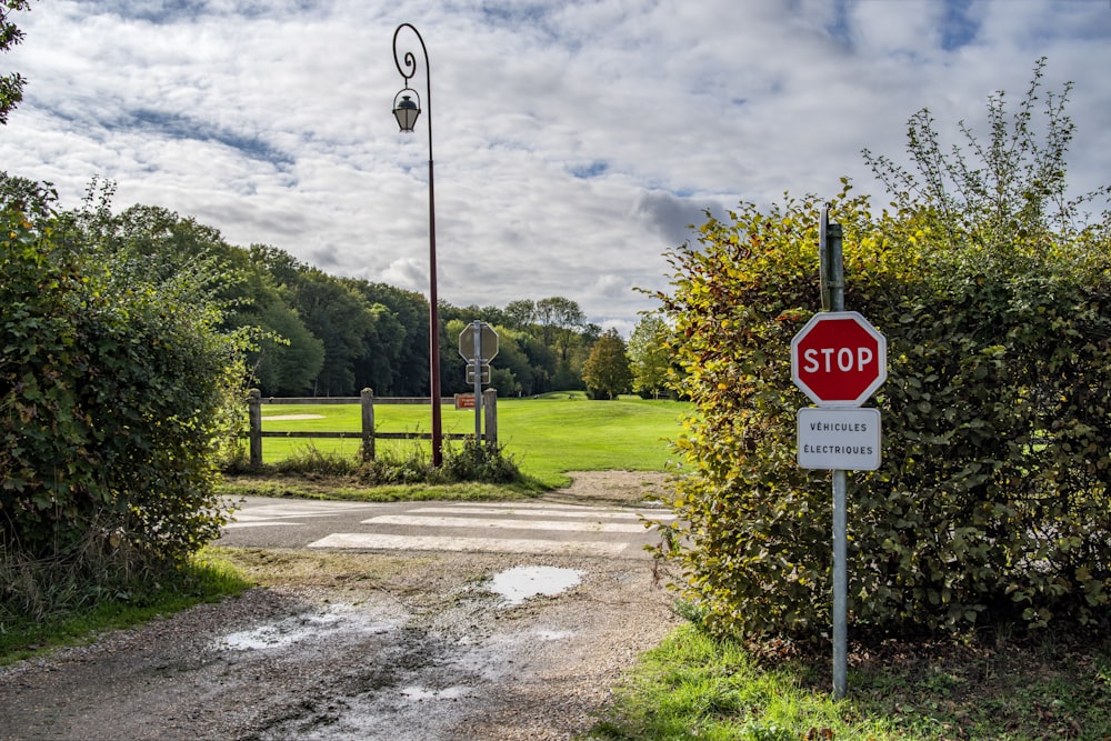 red stop signage beside green plant