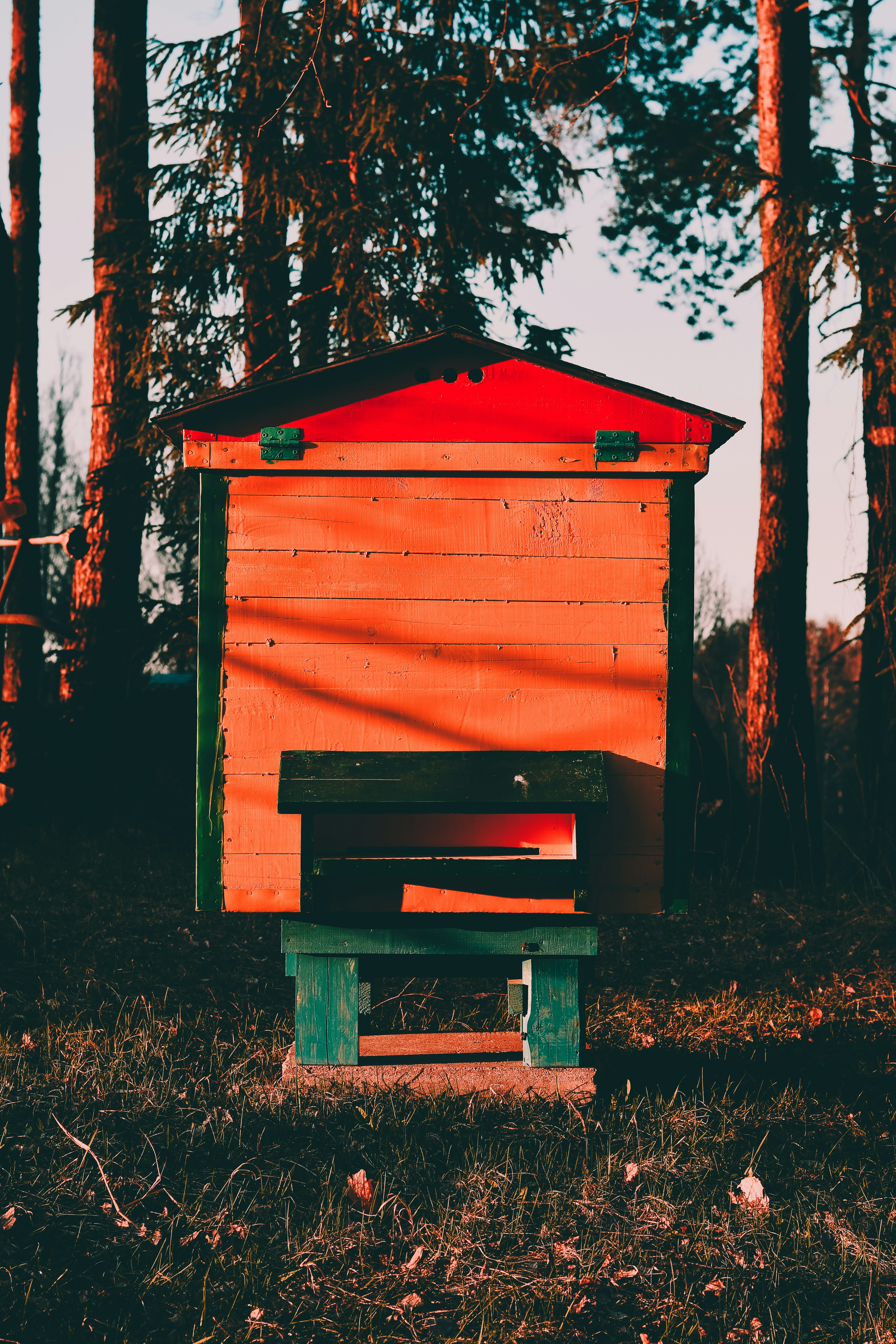 Is a Portable Shed Office Your Path to Peace and Quiet?