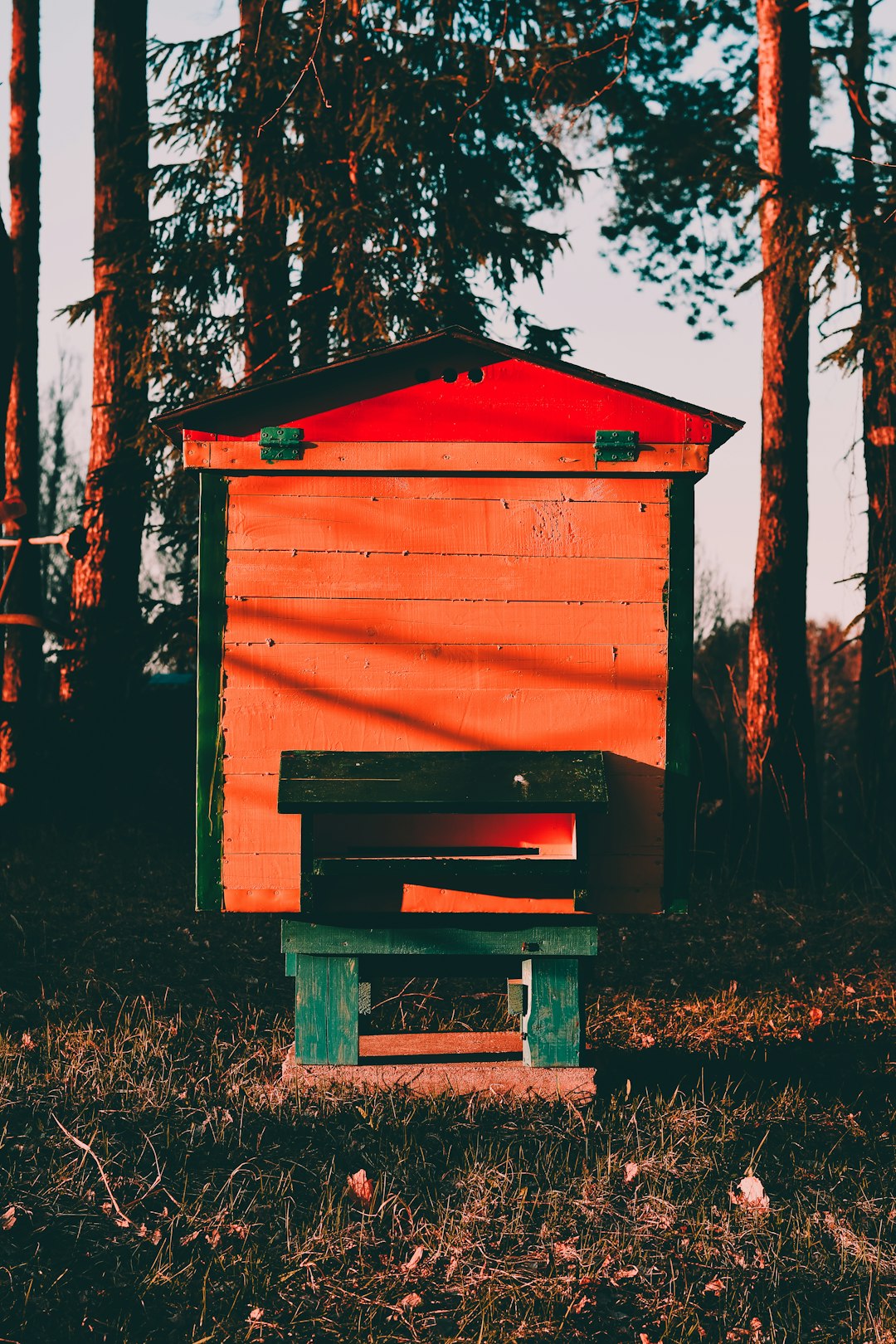 shallow focus photo of red wooden shed