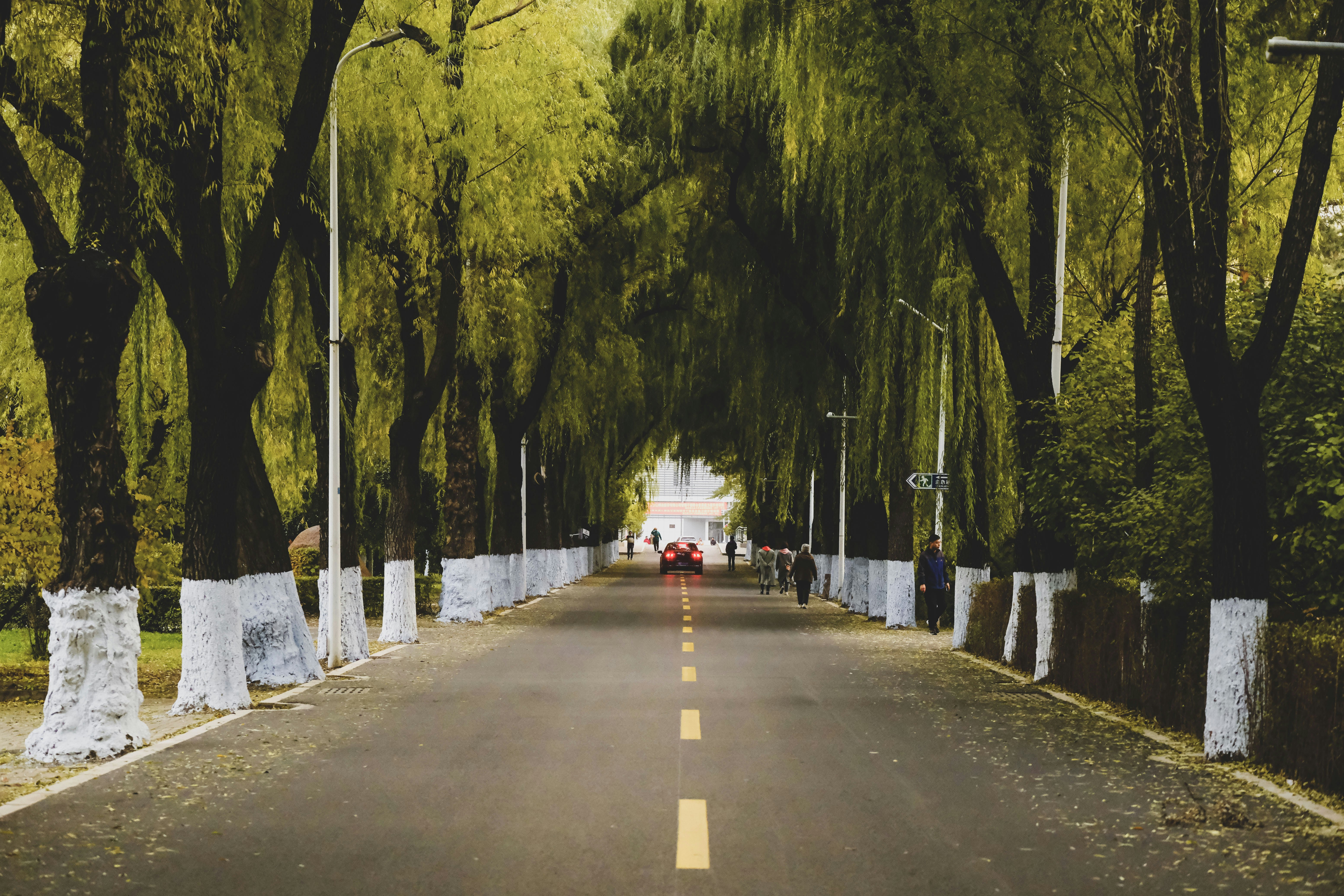 Photo by aserusainhuu