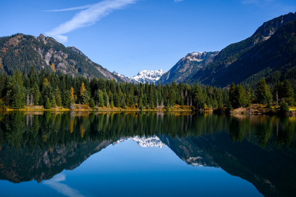 lake near trees during daytime